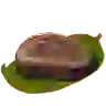 Steamed Meat