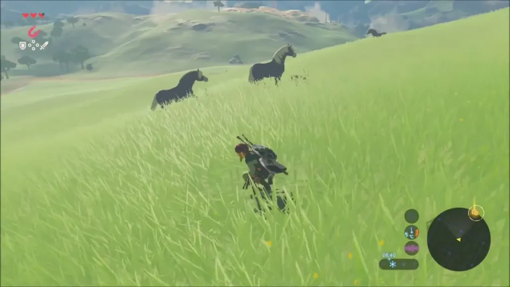 Link creeping closer to a pair of wild horses on a grassy hill Link creeping closer to a pair of wild horses on a grassy hill