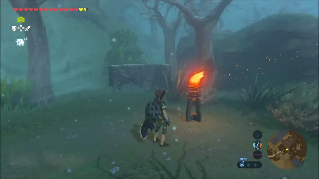 Link beside the first lit torch in the foggy forest path Link beside the first lit torch in the foggy forest path