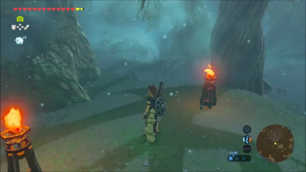 Link standing between two lit torches in the Lost Woods Link standing between two lit torches in the Lost Woods