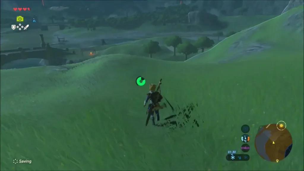 Link crossing a grassy hillside above the lake Link crossing a grassy hillside above the lake