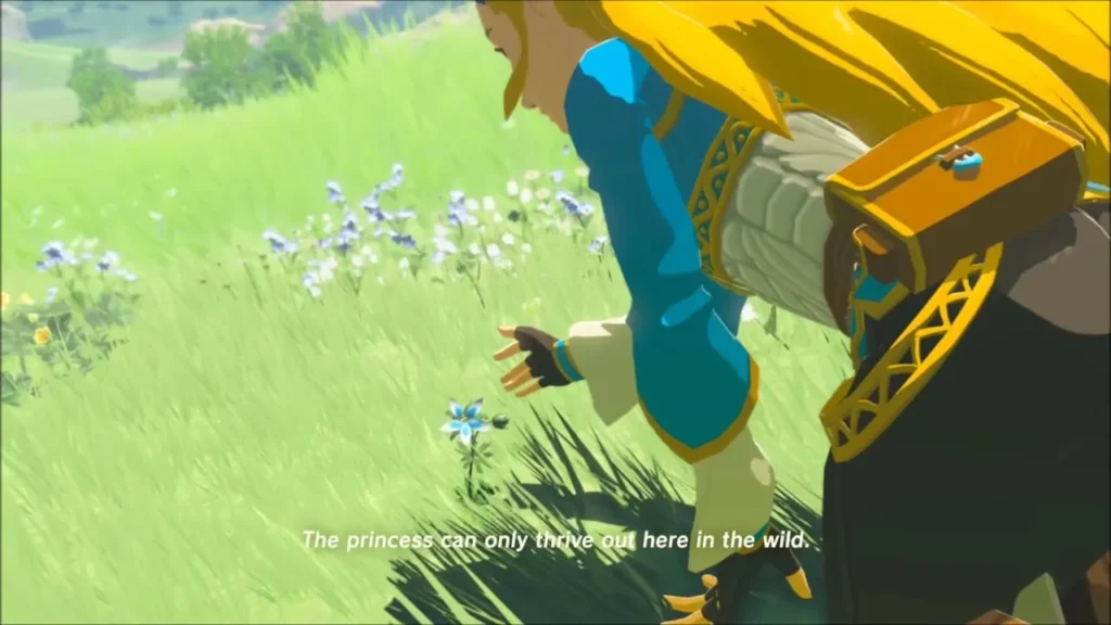 Zelda crouching to look at a silent princess flower Zelda crouching to look at a silent princess flower