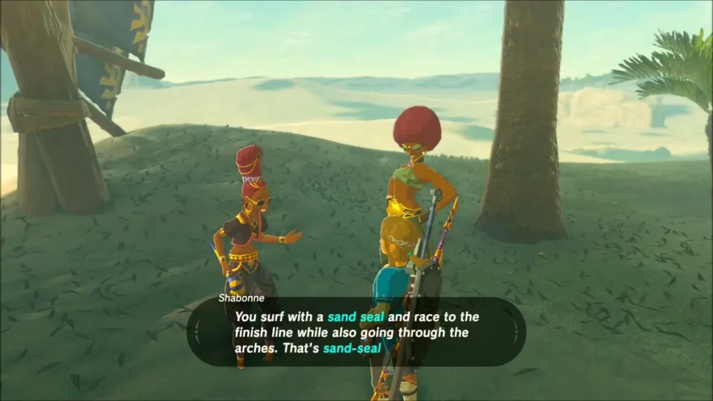 Shabonne explaining sand-seal racing to Link in the Gerudo Desert Shabonne explaining sand-seal racing to Link in the Gerudo Desert