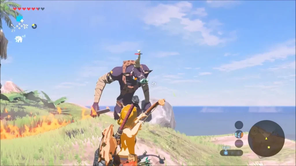 Link facing a Moblin among grass fires on Koholit Rock Link facing a Moblin among grass fires on Koholit Rock