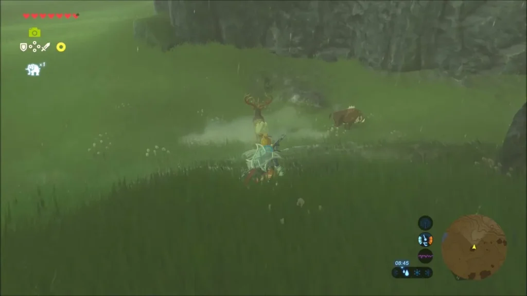 Link sneaking right up behind an antlered buck in the rain Link sneaking right up behind an antlered buck in the rain