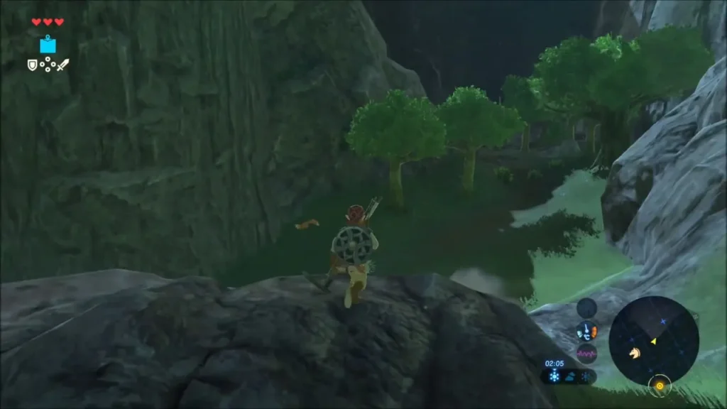 Link on a rock above a wooded canyon hollow Link on a rock above a wooded canyon hollow