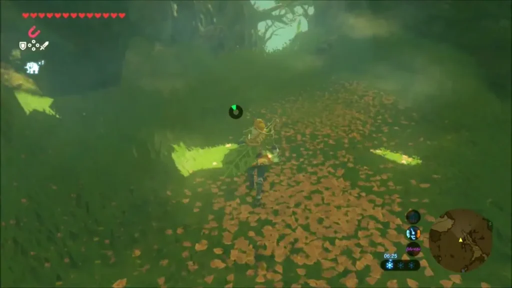 Link following the leaf-strewn forest path toward Tasho in Korok Forest Link following the leaf-strewn forest path toward Tasho in Korok Forest