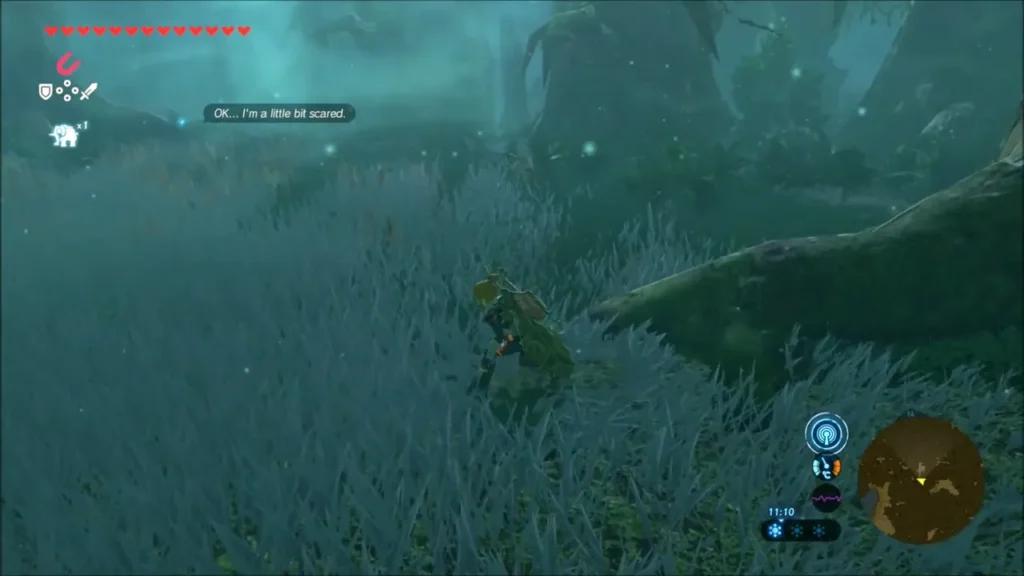 Link standing view in the grass while Oaki calms down Link standing view in the grass while Oaki calms down
