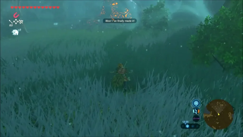 Link in the grass as the orange glow of the shrine appears ahead Link in the grass as the orange glow of the shrine appears ahead