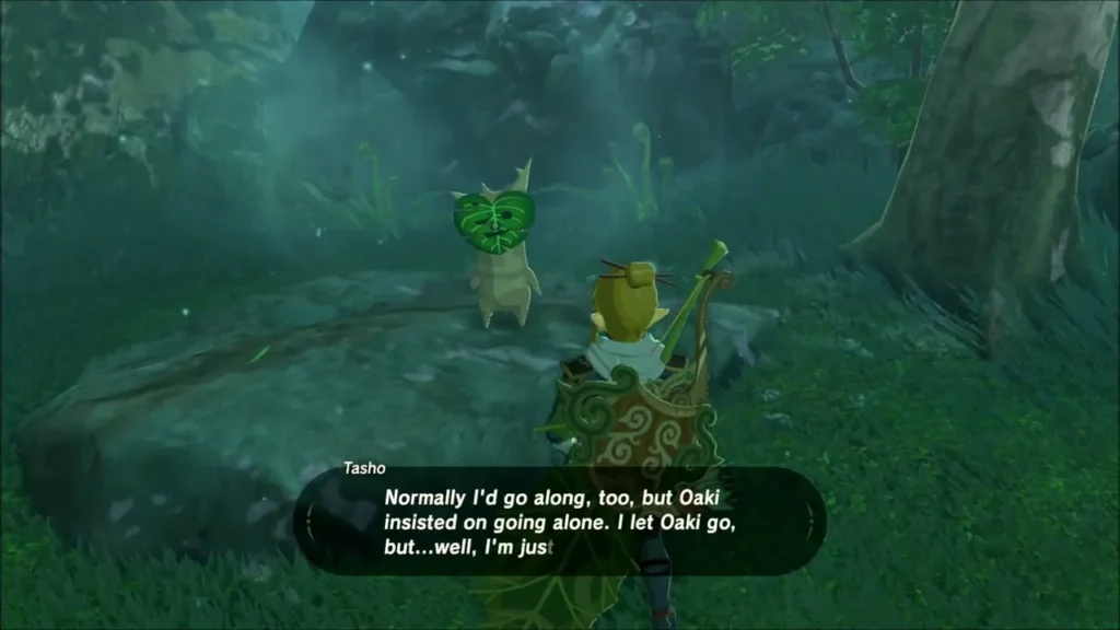 Tasho the Korok asking Link to follow Oaki Tasho the Korok asking Link to follow Oaki