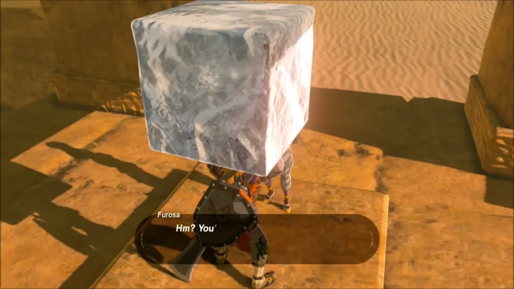 Link holding the ice block up as Furosa greets him Link holding the ice block up as Furosa greets him