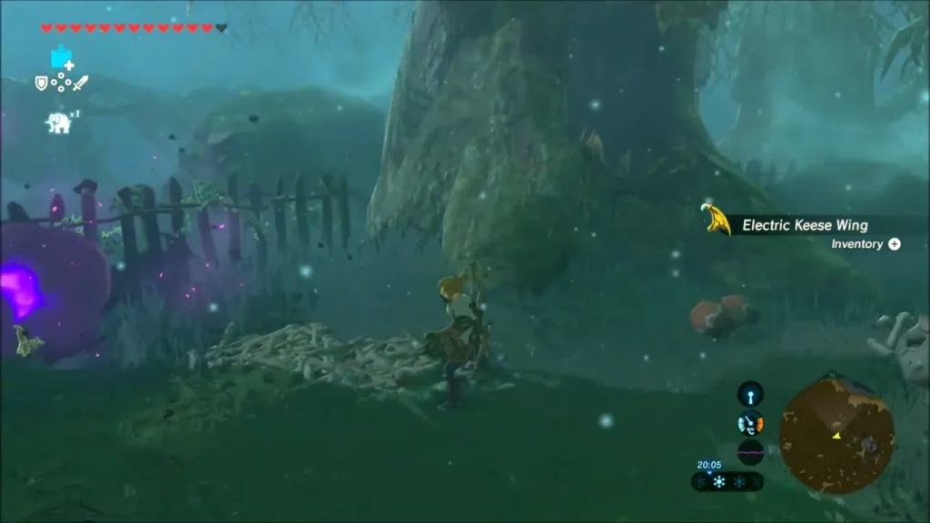 Link on the fenced path after defeating an electric Keese Link on the fenced path after defeating an electric Keese