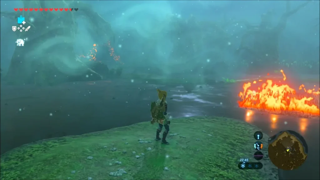 Link at the swamp edge with flames burning on the water Link at the swamp edge with flames burning on the water
