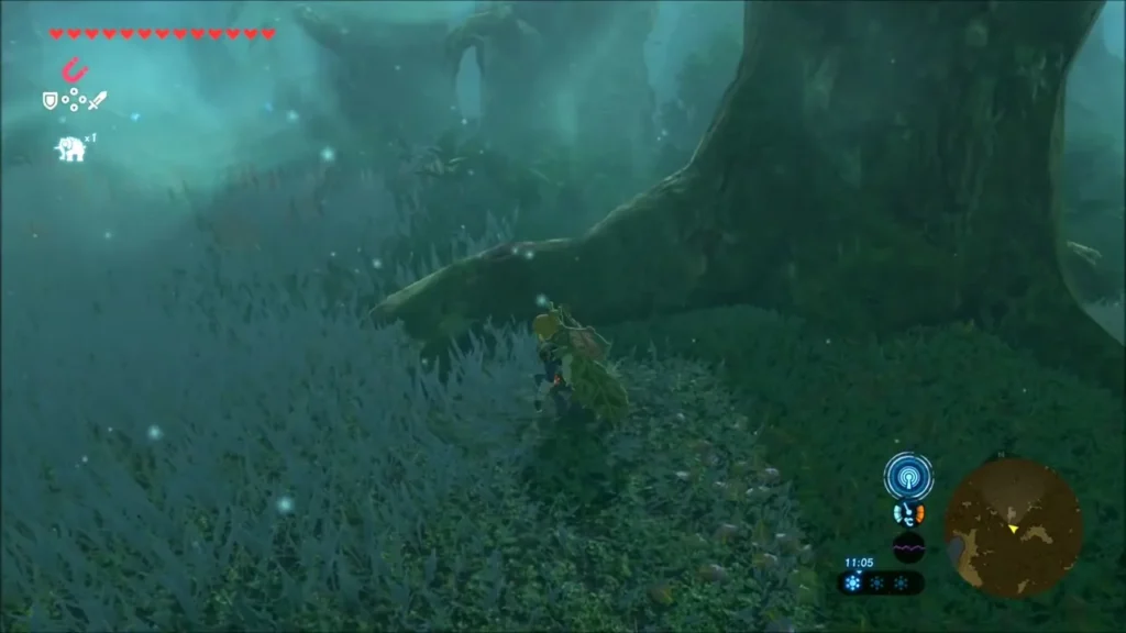 Link waiting view among grass and tree roots in the clearing Link waiting view among grass and tree roots in the clearing