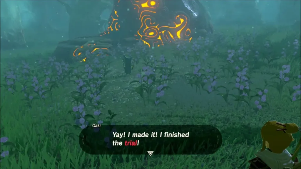 Oaki celebrating at the Daag Chokah Shrine entrance after finishing the trial Oaki celebrating at the Daag Chokah Shrine entrance after finishing the trial