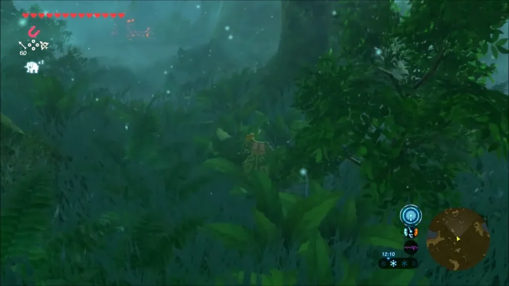Link hiding in ferns with Oaki's marker far ahead Link hiding in ferns with Oaki's marker far ahead