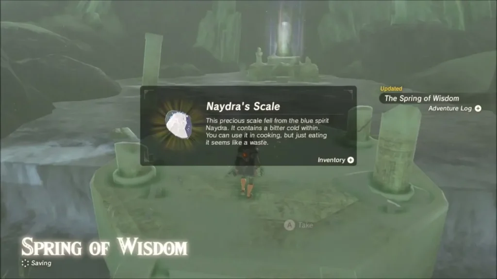 Link picking up Naydra's Scale with its item description shown Link picking up Naydra's Scale with its item description shown