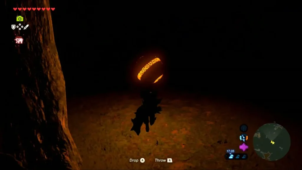 Link carrying the glowing orb through the dark Link carrying the glowing orb through the dark