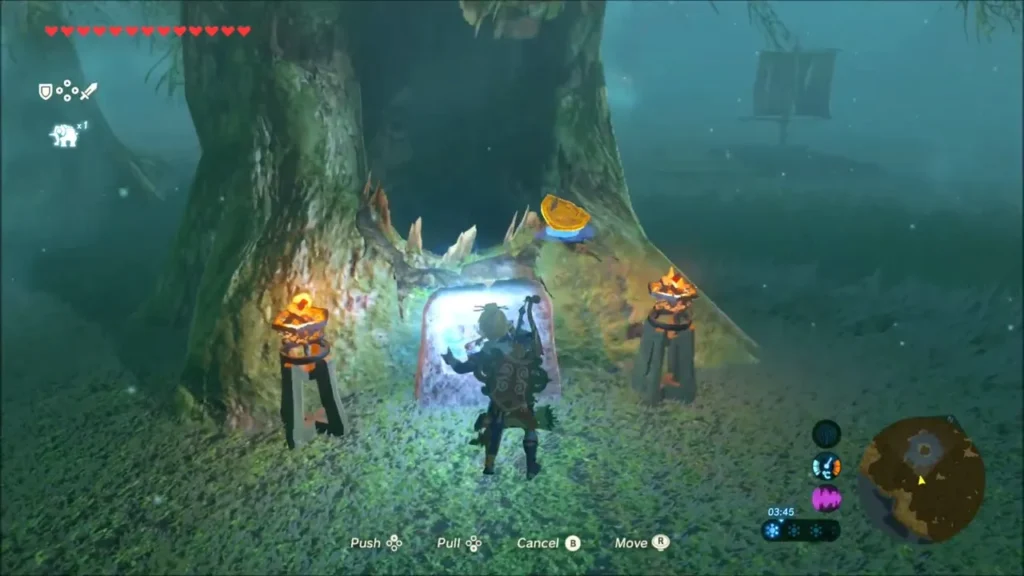 Link using Magnesis to move the shield into the tree mouth Link using Magnesis to move the shield into the tree mouth