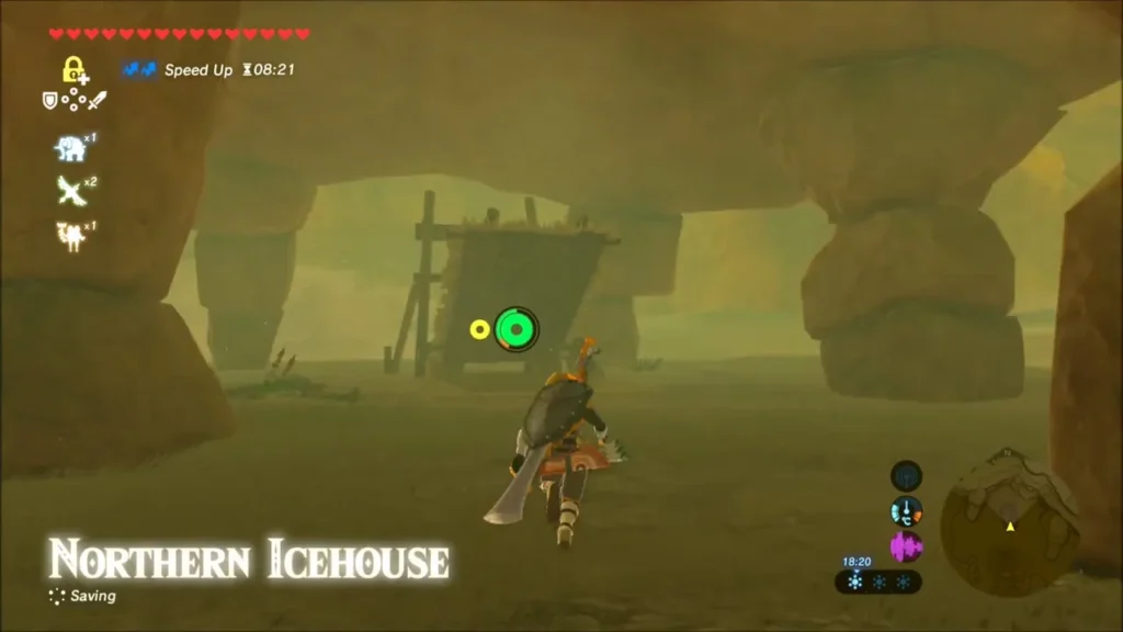 Link approaching the Northern Icehouse north of Gerudo Town