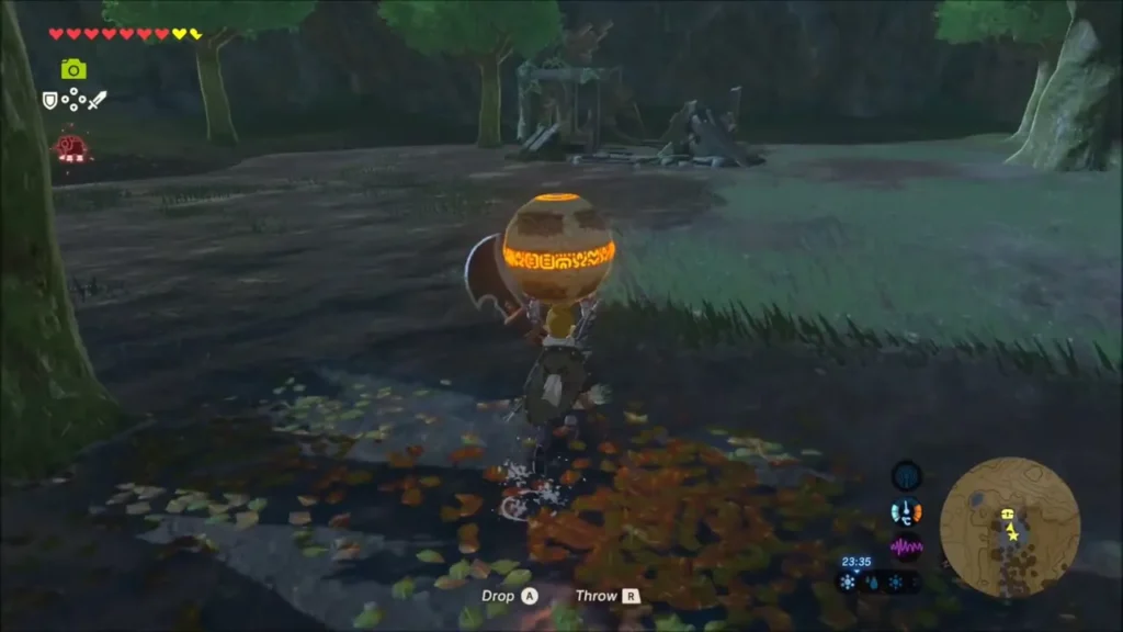 Link carrying the glowing orb away from the youngest Hinox's island Link carrying the glowing orb away from the youngest Hinox's island