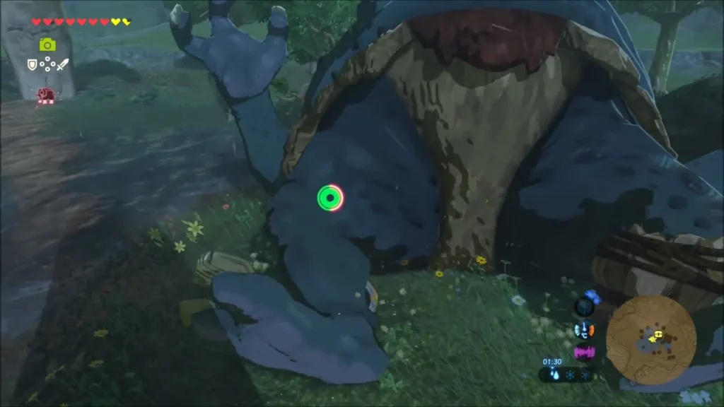 Close view of the oldest Hinox curled up on the grass Close view of the oldest Hinox curled up on the grass