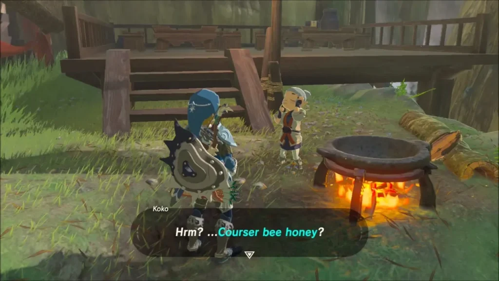 Koko beside her cooking pot reacting to the Courser Bee Honey Koko beside her cooking pot reacting to the Courser Bee Honey