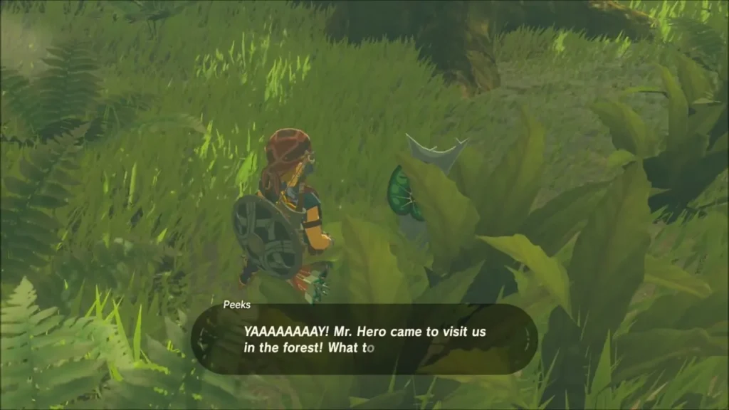 Peeks greeting Link in the thick grass of Korok Forest Peeks greeting Link in the thick grass of Korok Forest