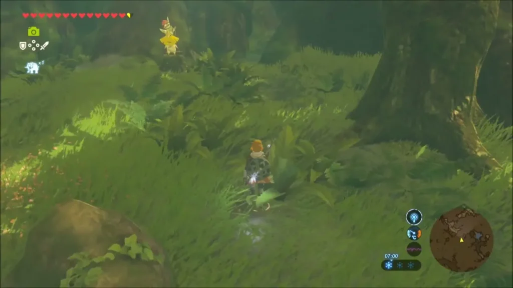 Link approaching Peeks in Korok Forest to report back Link approaching Peeks in Korok Forest to report back