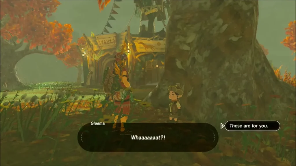 Link handing the darners to a surprised Gleema
