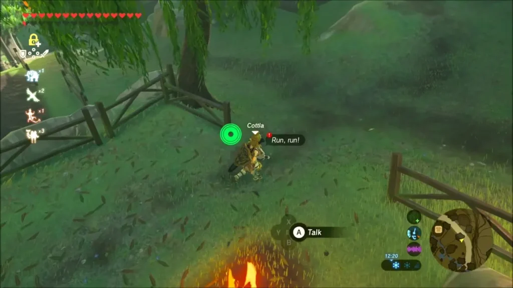 Link finding Cottla hiding by a fence and tree Link finding Cottla hiding by a fence and tree