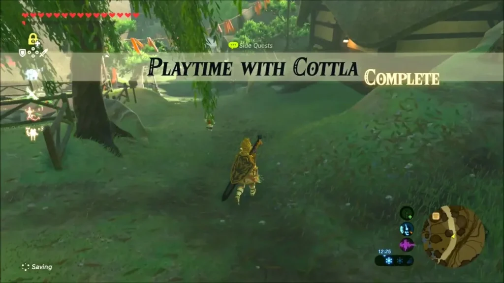 Playtime with Cottla complete banner in the village Playtime with Cottla complete banner in the village