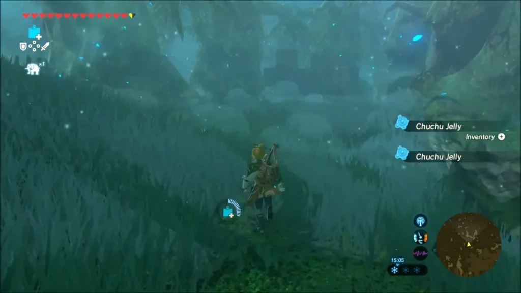 Link running through foggy grass after defeating Chuchus Link running through foggy grass after defeating Chuchus