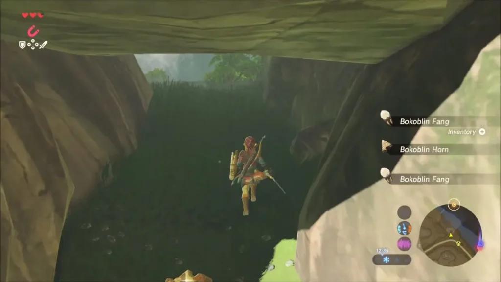 Link after the fight with Bokoblin Fang and Horn drops listed Link after the fight with Bokoblin Fang and Horn drops listed