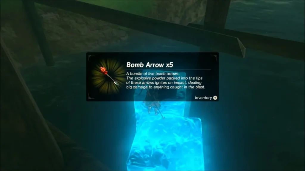 The Bomb Arrow x5 item box after opening the chest on the ice The Bomb Arrow x5 item box after opening the chest on the ice