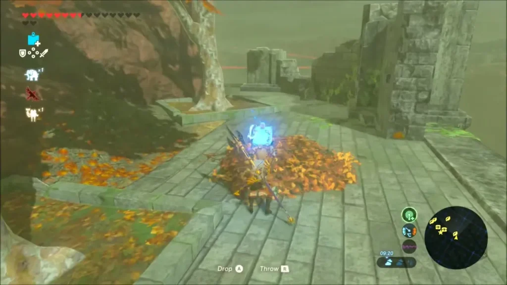 Link placing a Remote Bomb on a leaf pile on the paved terrace Link placing a Remote Bomb on a leaf pile on the paved terrace
