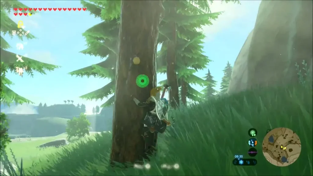 Link climbing a fir tree trunk in a meadow Link climbing a fir tree trunk in a meadow
