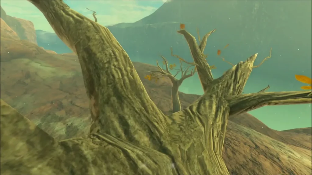 The forked branches near the top of the dead tree The forked branches near the top of the dead tree