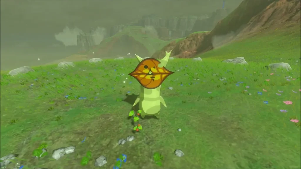 A Korok with its leaf mask standing in the grass A Korok with its leaf mask standing in the grass