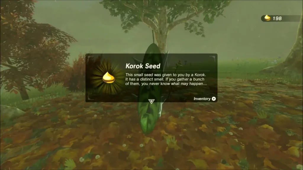 Korok Seed box over the Korok among fallen autumn leaves Korok Seed box over the Korok among fallen autumn leaves