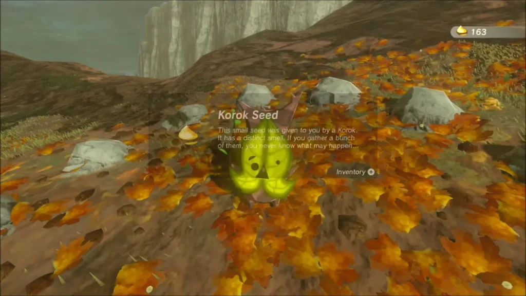 Korok Seed item box shown over the happy Korok Korok Seed item box shown over the happy Korok