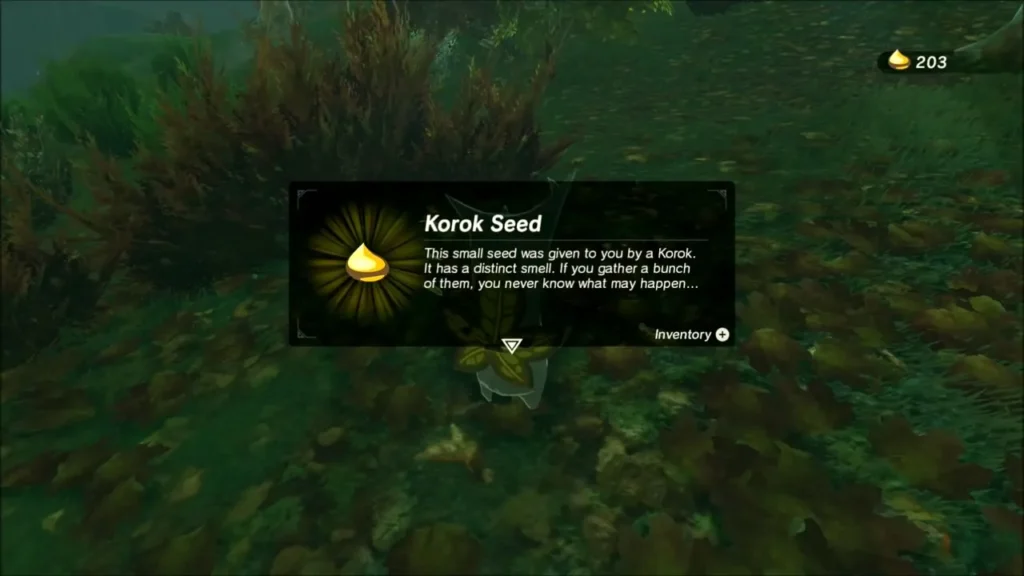 Korok Seed received from the Korok among the leaves Korok Seed received from the Korok among the leaves