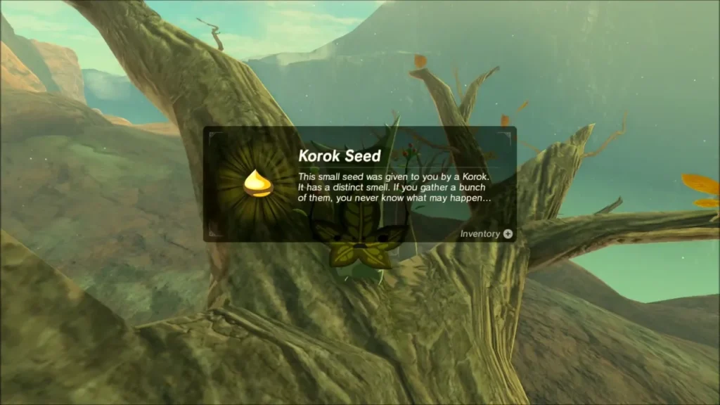 Korok Seed box from the Korok hiding in the dead tree fork Korok Seed box from the Korok hiding in the dead tree fork
