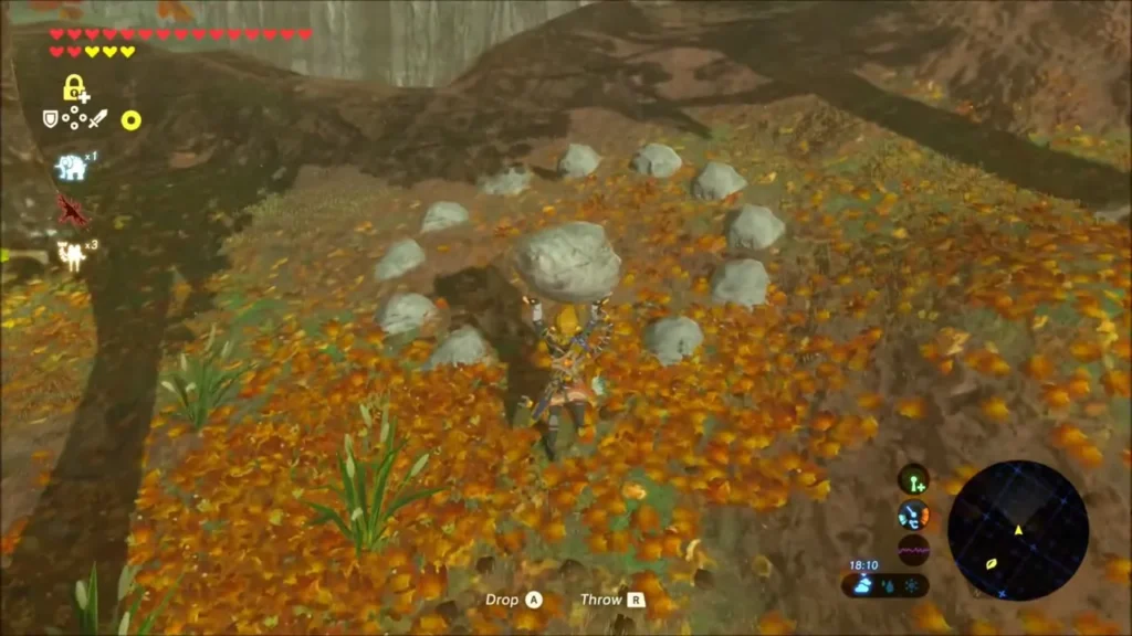 Link holding a rock beside a ring of small stones in fallen leaves Link holding a rock beside a ring of small stones in fallen leaves