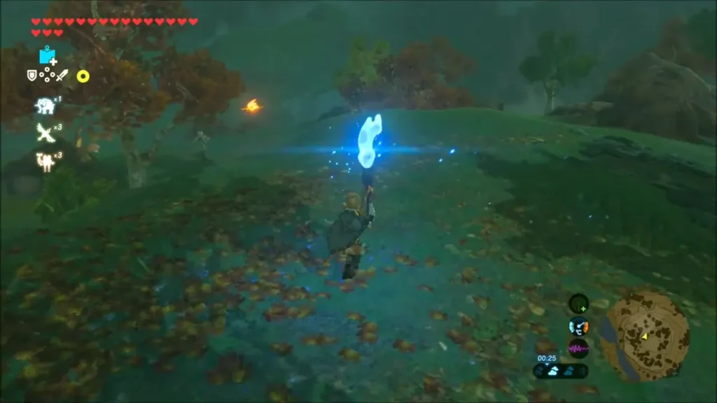 Link holding a torch lit with blue flame Link holding a torch lit with blue flame