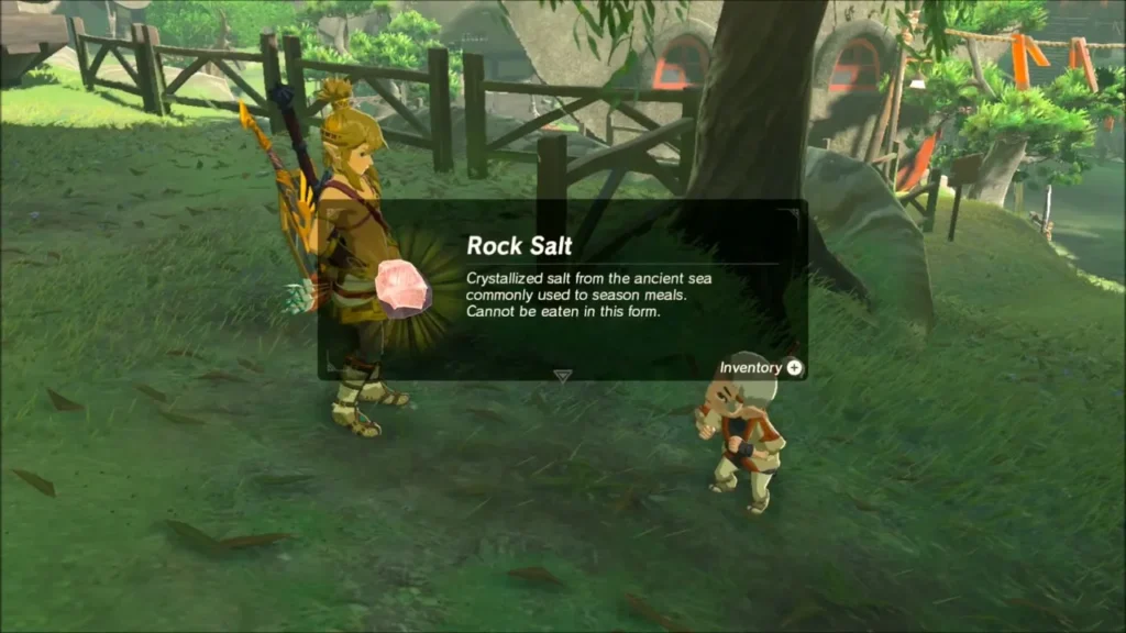 Link holding up Rock Salt, Cottla's reward, at the end of the game Link holding up Rock Salt, Cottla's reward, at the end of the game