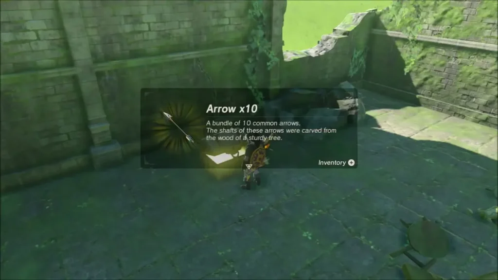 Link picking up Arrow x10 from a chest in the ruined room Link picking up Arrow x10 from a chest in the ruined room