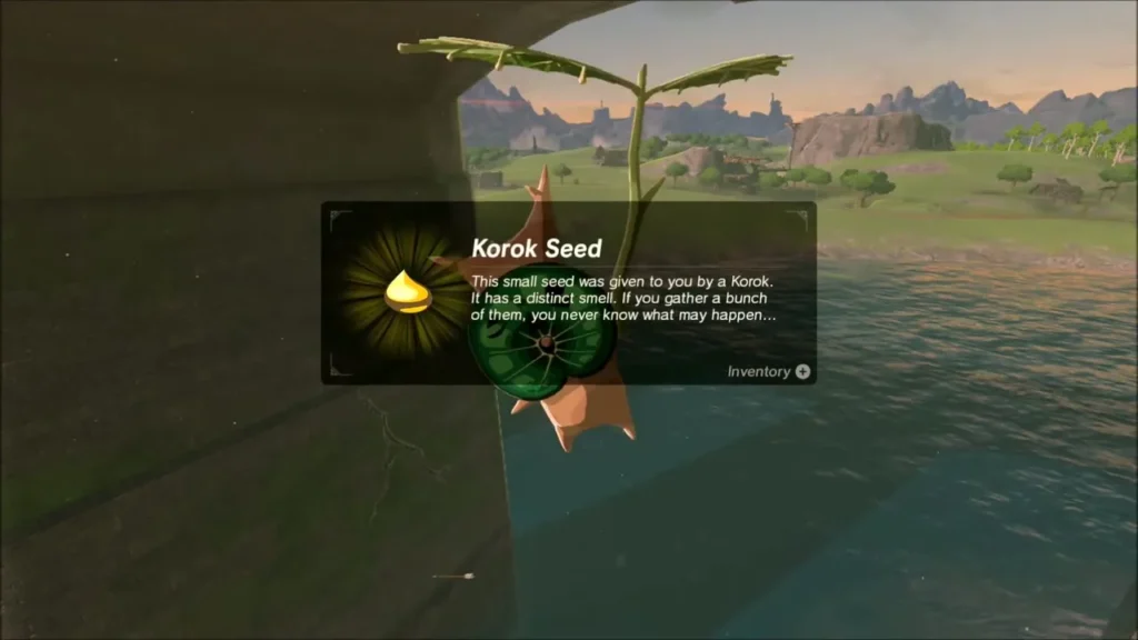 Korok Seed reward from the Korok under the stone bridge Korok Seed reward from the Korok under the stone bridge