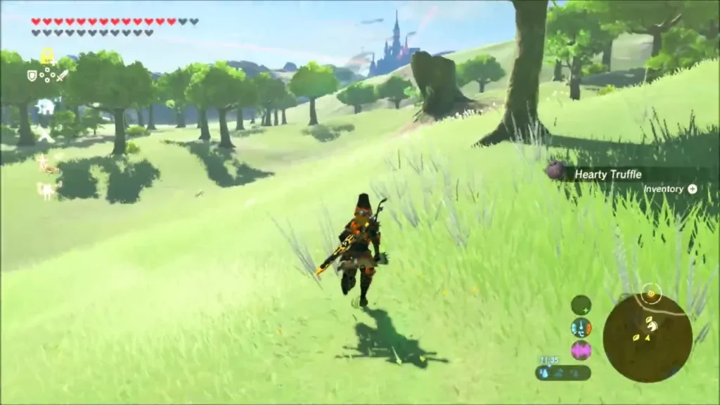 Link running through the meadow after picking up a Hearty Truffle Link running through the meadow after picking up a Hearty Truffle