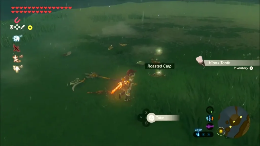 Hinox Tooth and other drops lying in the grass after the fight Hinox Tooth and other drops lying in the grass after the fight